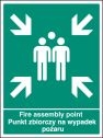 Fire assembly point (English Polish) Sign