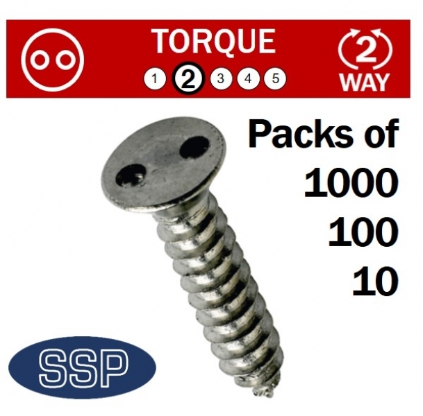 Pig Nose Countersunk Self Tapping Tamper-Proof Fasteners