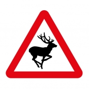 Wild animals on road road sign (551)