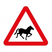 Wild horses on road road sign (550)