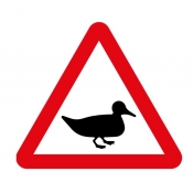 Duck on road road sign (551.2)