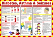 SSP Diabetes Asthma and Seizures Laminated Safety Poster