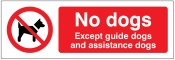No dogs Except guide dogs and assistance dogs Sign