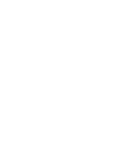 z Disabled